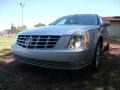 2010 Radiant Silver Cadillac DTS   photo #2