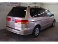 Mesa Beige Metallic - Odyssey EX Photo No. 6