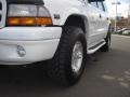 1999 Bright White Dodge Durango SLT 4x4  photo #32