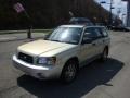 Champagne Gold Opalescent - Forester 2.5 XS L.L.Bean Edition Photo No. 5