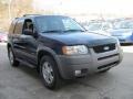 True Blue Metallic - Escape XLT V6 4WD Photo No. 4