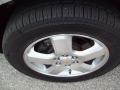 Silverstone Metallic - Uplander LT Photo No. 19