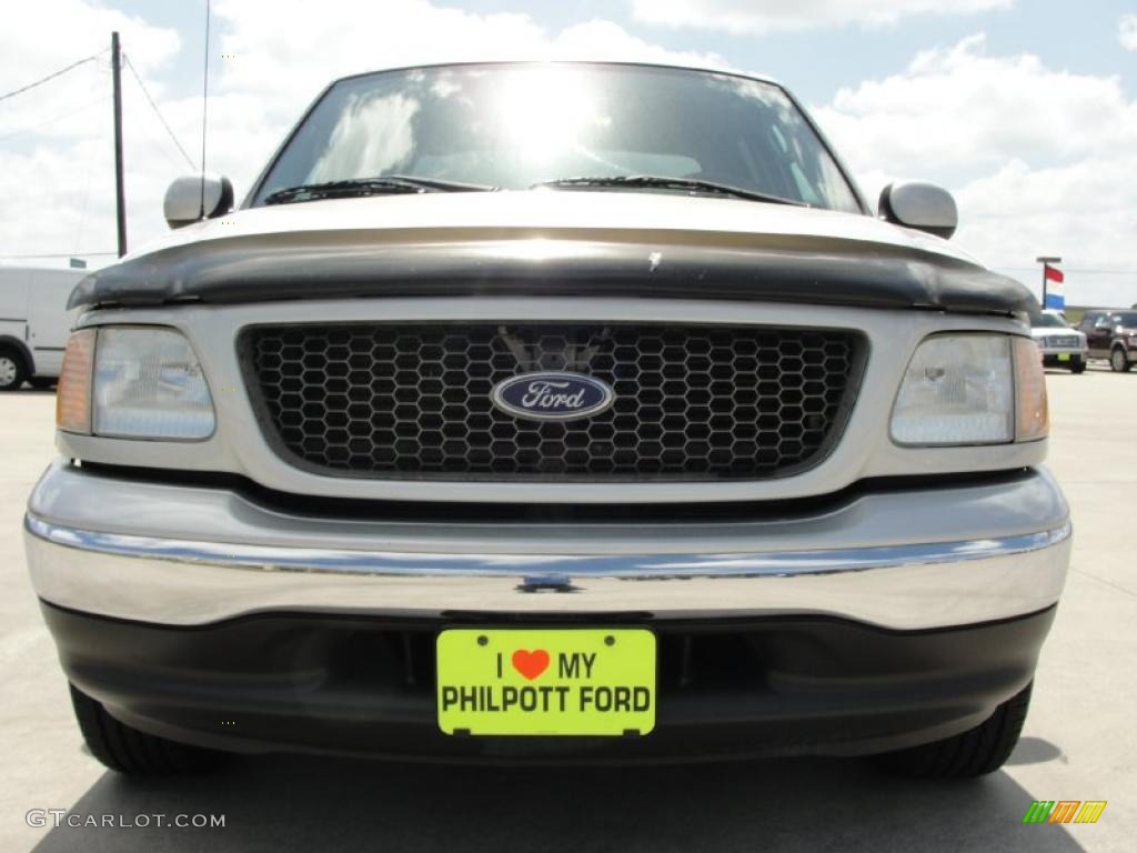 2003 F150 XLT SuperCrew - Silver Metallic / Medium Graphite Grey photo #9