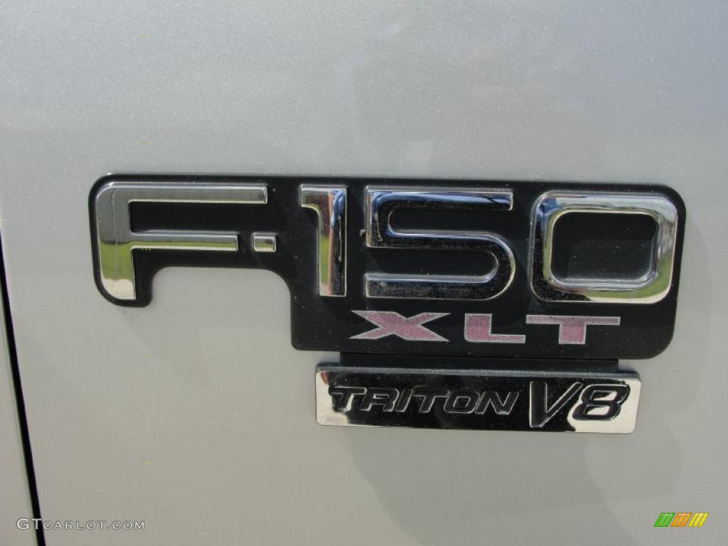 2003 F150 XLT SuperCrew - Silver Metallic / Medium Graphite Grey photo #18
