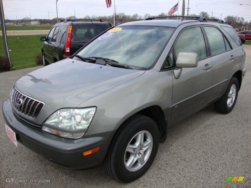 2003 RX 300 AWD - Mineral Green Opalescent / Ivory photo #1