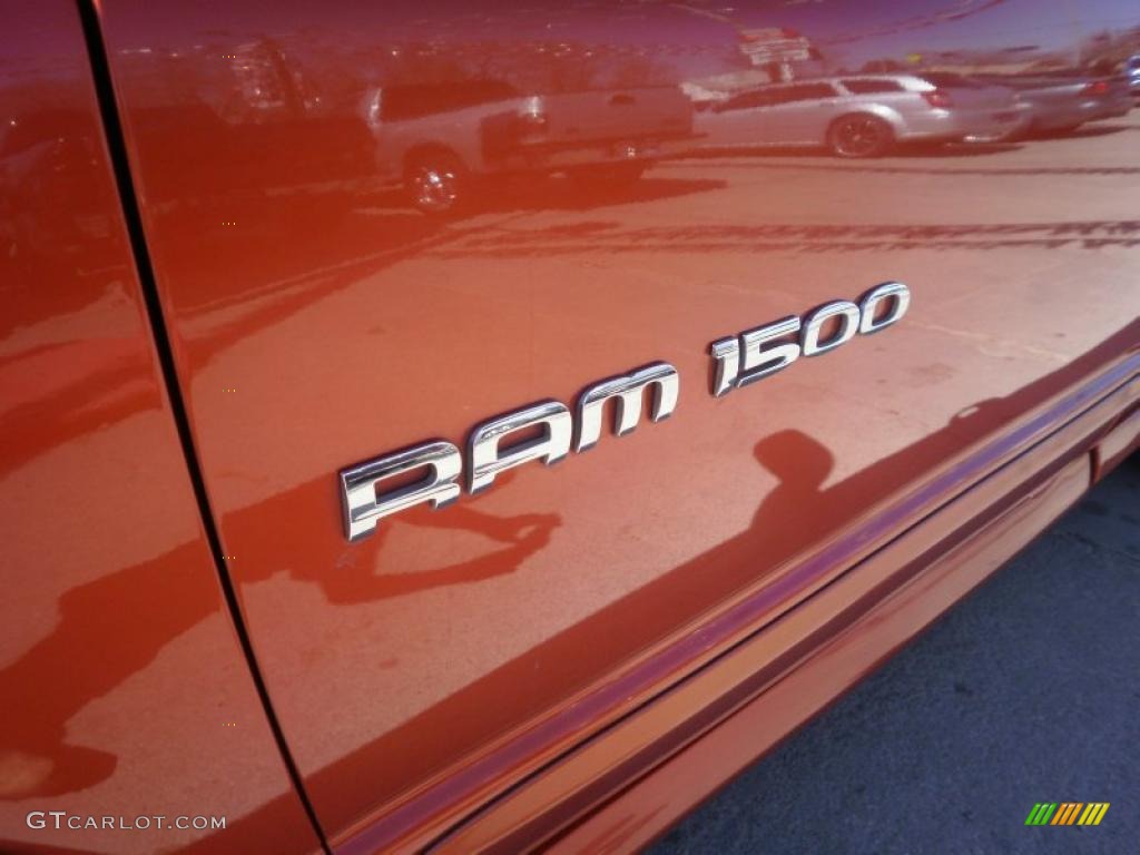 2005 Ram 1500 SLT Daytona Regular Cab - Go ManGo! / Dark Slate Gray photo #7