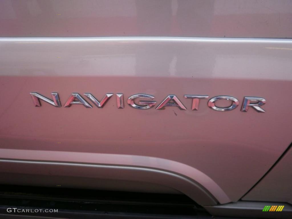 2004 Navigator Luxury 4x4 - Silver Birch Metallic / Dove Grey photo #7
