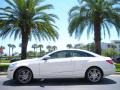 2010 Arctic White Mercedes-Benz E 350 Coupe  photo #1