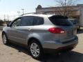 2009 Diamond Gray Metallic Subaru Tribeca Limited 7 Passenger  photo #3