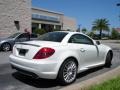 Arctic White - SLK 300 Roadster Photo No. 6