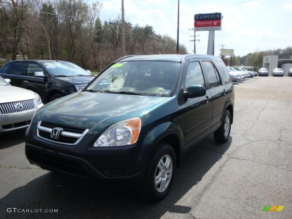 2004 CR-V EX 4WD - Clover Green Pearl / Saddle photo #1