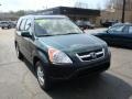 2004 Clover Green Pearl Honda CR-V EX 4WD  photo #5
