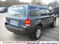 2006 Norsea Blue Metallic Ford Escape XLS 4WD  photo #6