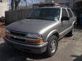 Light Pewter Metallic - Blazer LT 4x4 Photo No. 2