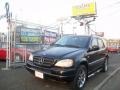 Black - ML 430 4Matic Photo No. 1