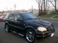 Black - ML 430 4Matic Photo No. 2