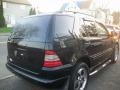 Black - ML 430 4Matic Photo No. 3