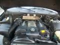 Black - ML 430 4Matic Photo No. 29