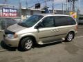 Linen Gold Metallic - Caravan SXT Photo No. 3