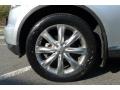 Liquid Platinum Metallic - FX 45 AWD Photo No. 22