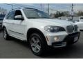 Alpine White - X5 4.8i Photo No. 2