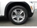Alpine White - X5 4.8i Photo No. 20