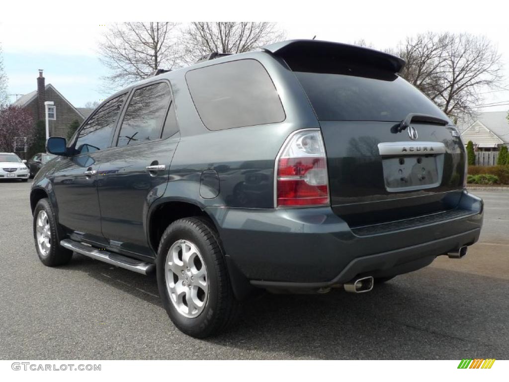 2004 MDX Touring - Sagebrush Pearl / Quartz photo #12