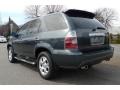 Sagebrush Pearl - MDX Touring Photo No. 12