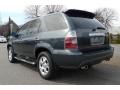 2004 Sagebrush Pearl Acura MDX Touring  photo #12