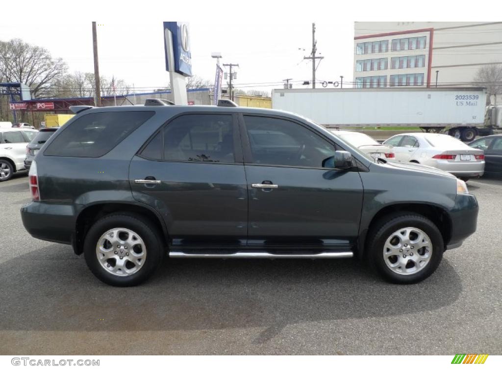 2004 MDX Touring - Sagebrush Pearl / Quartz photo #17