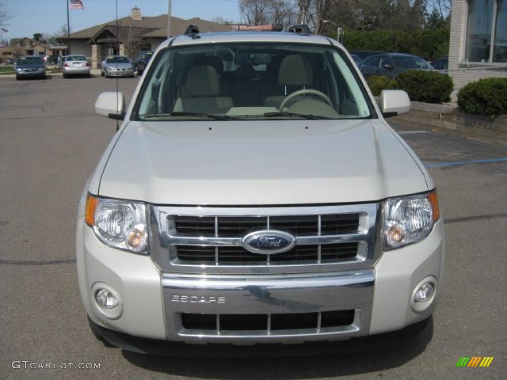 2009 Escape Limited V6 - Light Sage Metallic / Camel photo #9