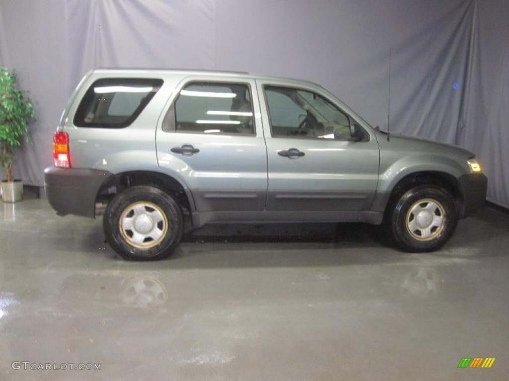 2006 Escape XLS 4WD - Titanium Green Metallic / Medium/Dark Pebble photo #4