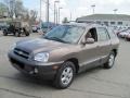 2005 Mocha Frost Beige Hyundai Santa Fe GLS 4WD  photo #7