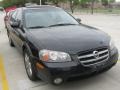 Super Black - Maxima GLE Photo No. 5