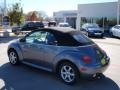 Platinum Grey Metallic - New Beetle GLS 1.8T Convertible Photo No. 4