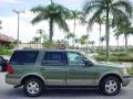 Estate Green Metallic - Expedition Eddie Bauer Photo No. 2