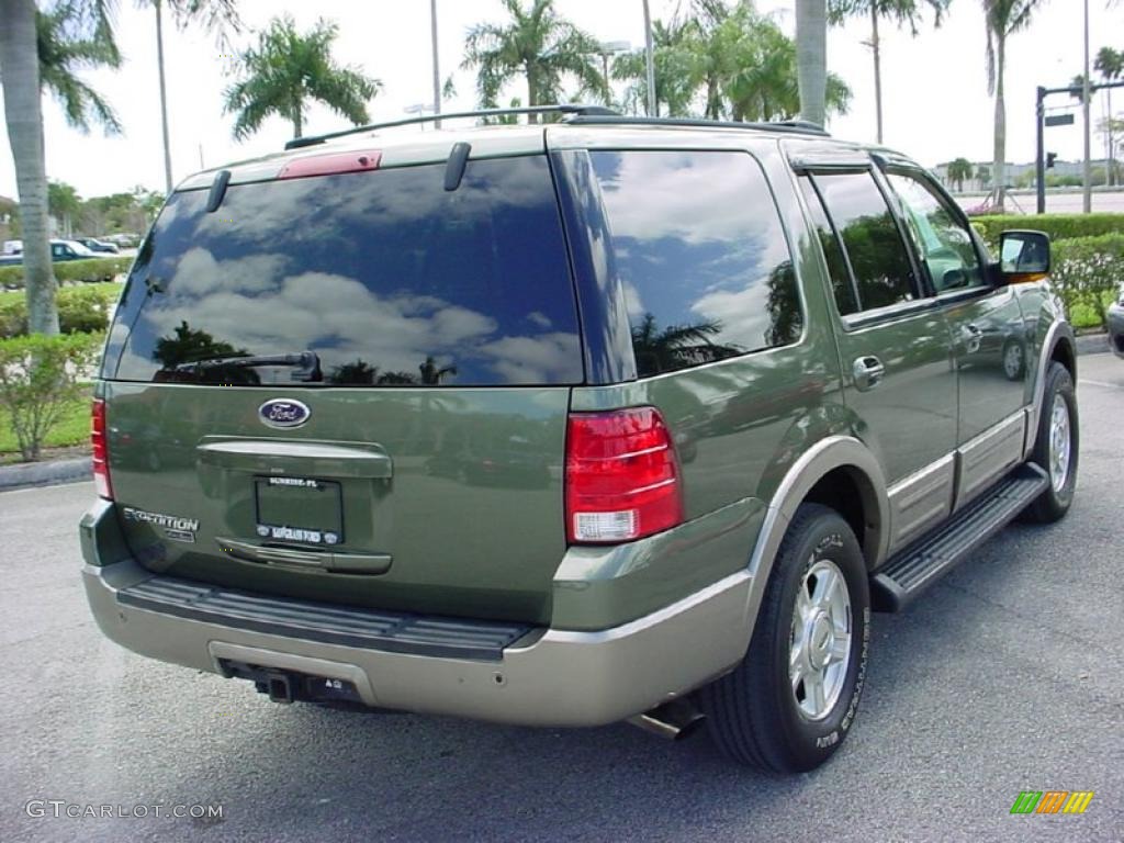 2003 Expedition Eddie Bauer - Estate Green Metallic / Medium Parchment photo #3