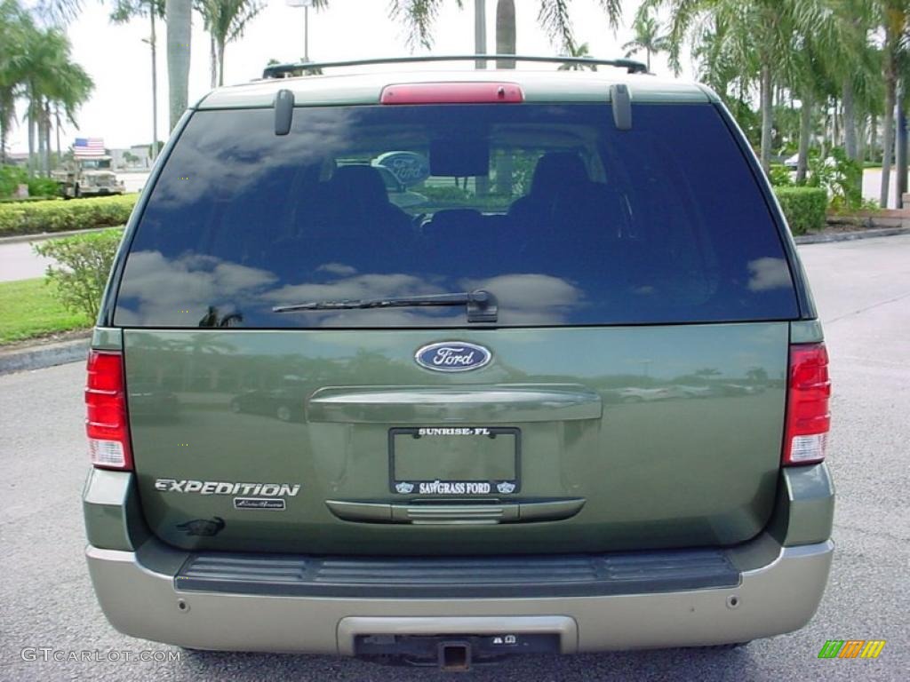 2003 Expedition Eddie Bauer - Estate Green Metallic / Medium Parchment photo #4