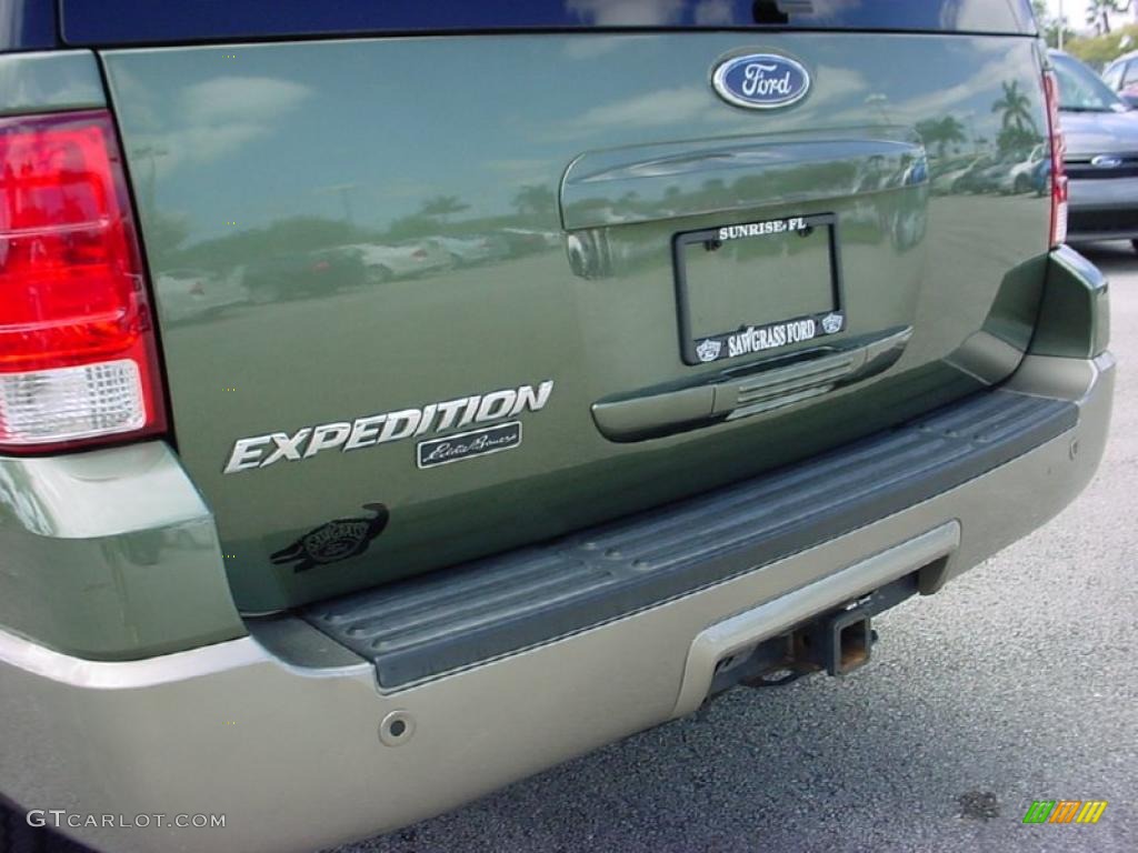 2003 Expedition Eddie Bauer - Estate Green Metallic / Medium Parchment photo #6