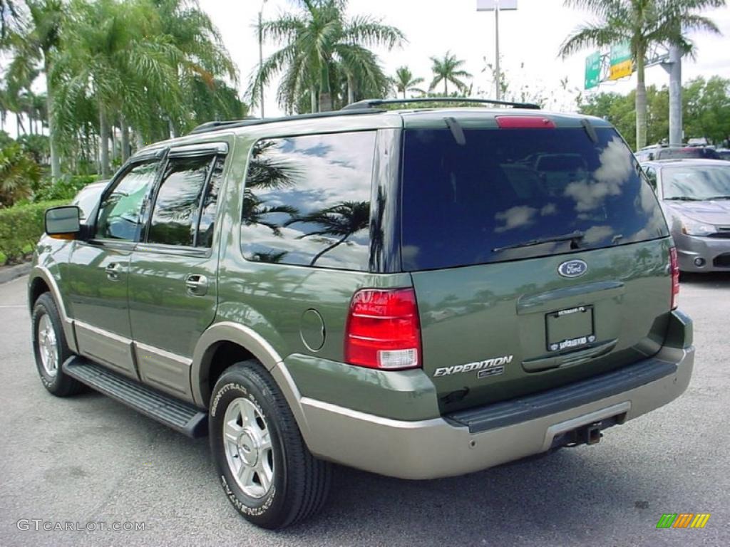 2003 Expedition Eddie Bauer - Estate Green Metallic / Medium Parchment photo #7