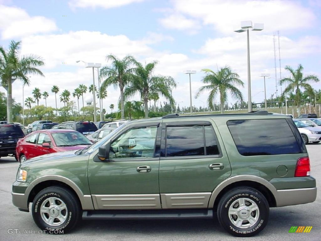 2003 Expedition Eddie Bauer - Estate Green Metallic / Medium Parchment photo #8