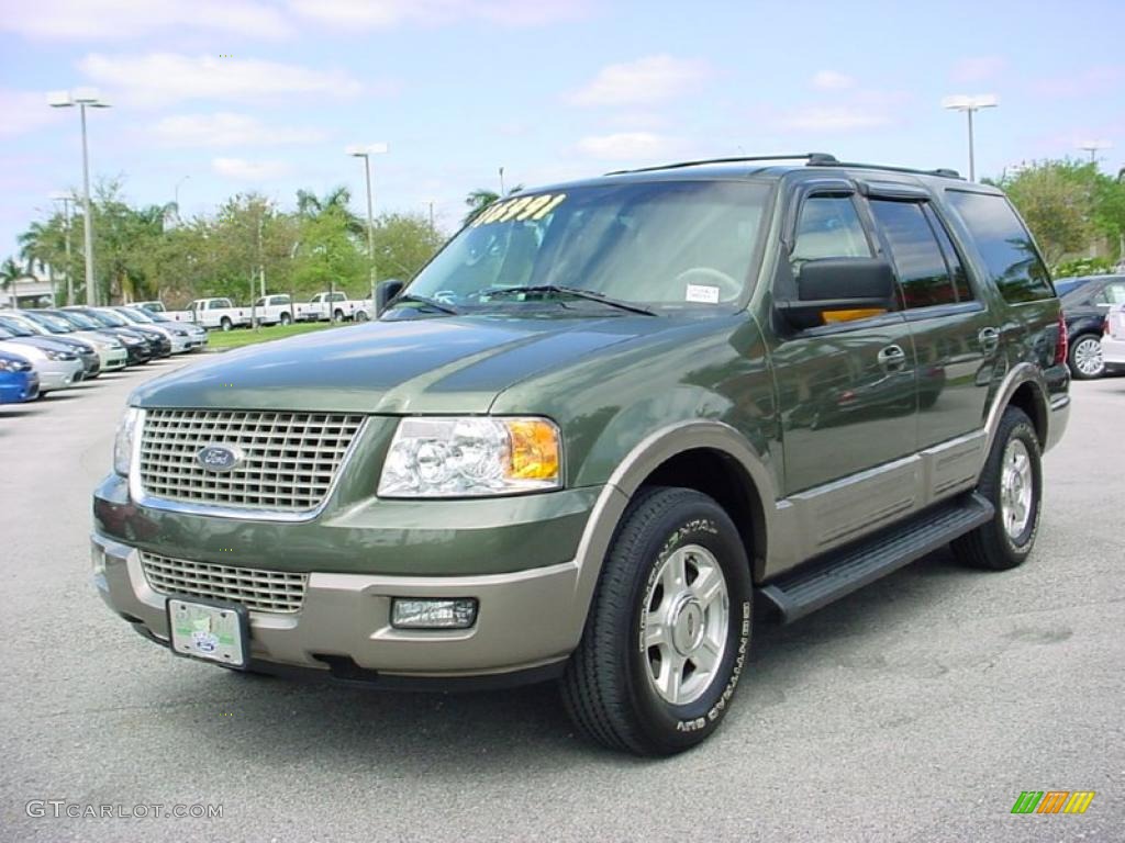 2003 Expedition Eddie Bauer - Estate Green Metallic / Medium Parchment photo #9