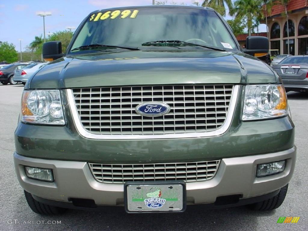 2003 Expedition Eddie Bauer - Estate Green Metallic / Medium Parchment photo #10