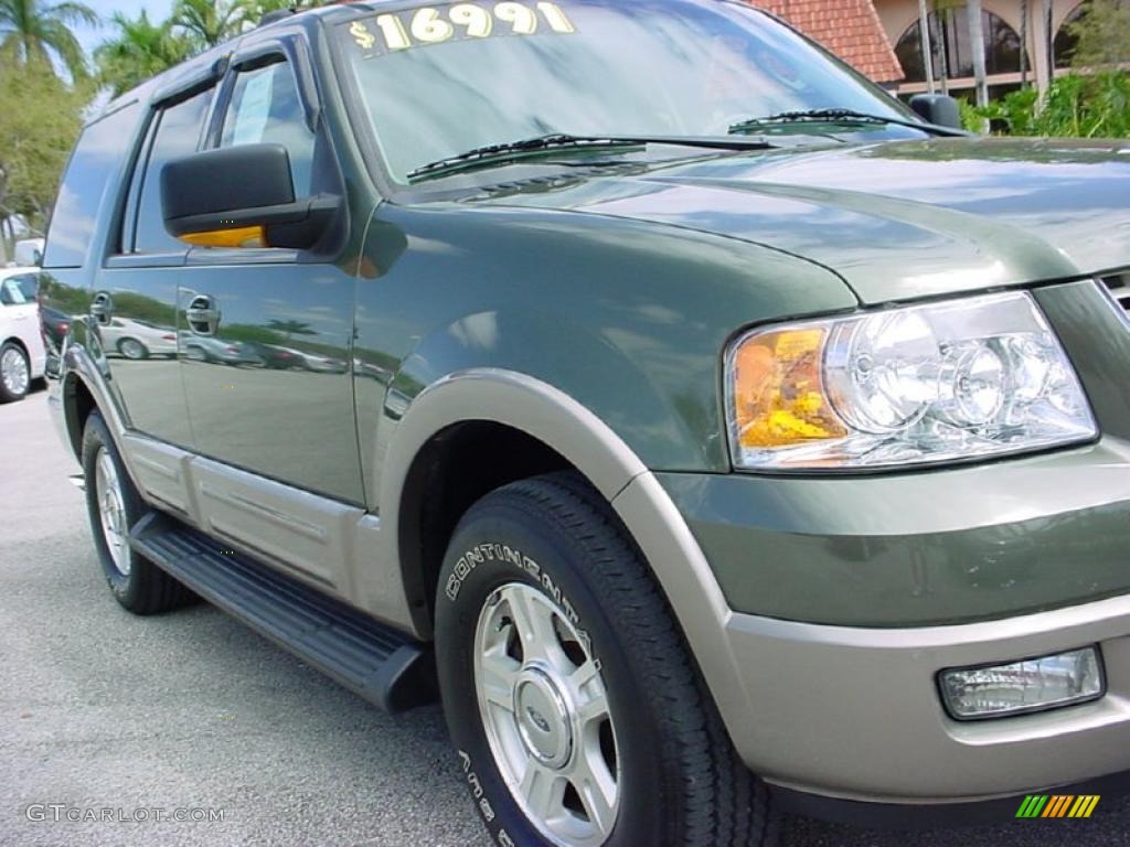 2003 Expedition Eddie Bauer - Estate Green Metallic / Medium Parchment photo #11