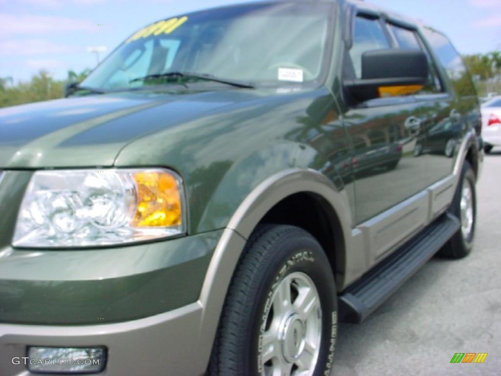 2003 Expedition Eddie Bauer - Estate Green Metallic / Medium Parchment photo #12