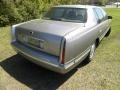 Light Driftwood Metallic - DeVille Sedan Photo No. 13
