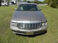 Light Driftwood Metallic - DeVille Sedan Photo No. 18