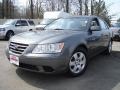 Willow Gray - Sonata GLS Photo No. 1