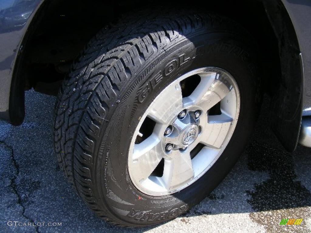 2004 4Runner Limited 4x4 - Galactic Gray Mica / Stone photo #29