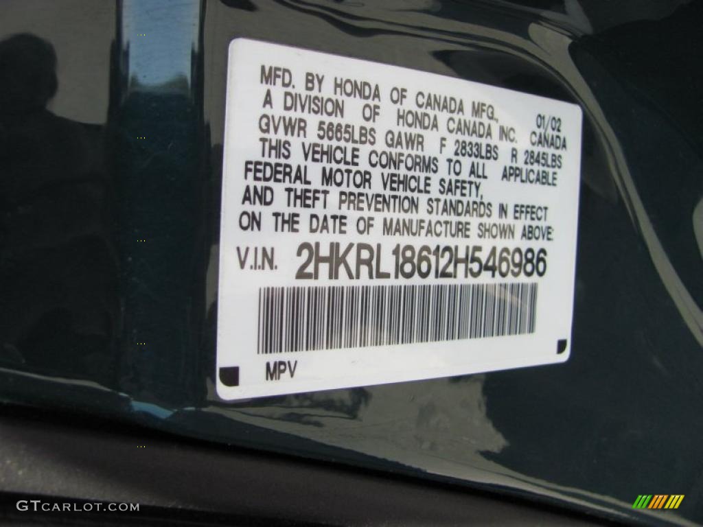 2002 Odyssey EX - Evergreen Pearl / Ivory photo #14